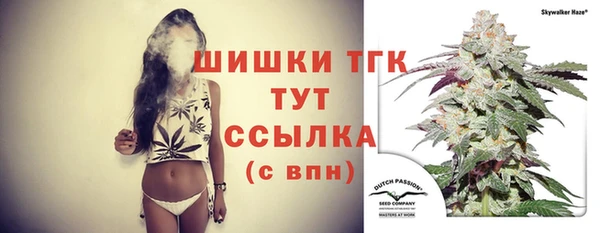 индика Трёхгорный
