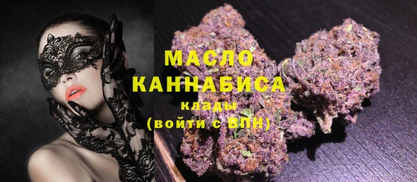 стафф Тосно