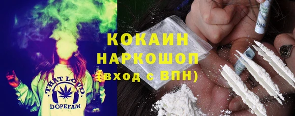 индика Лиски