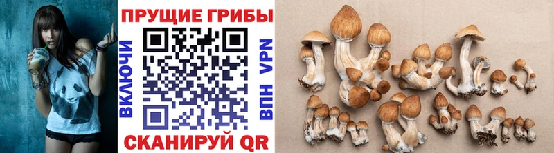 Псилоцибиновые грибы мухоморы  Черкесск 