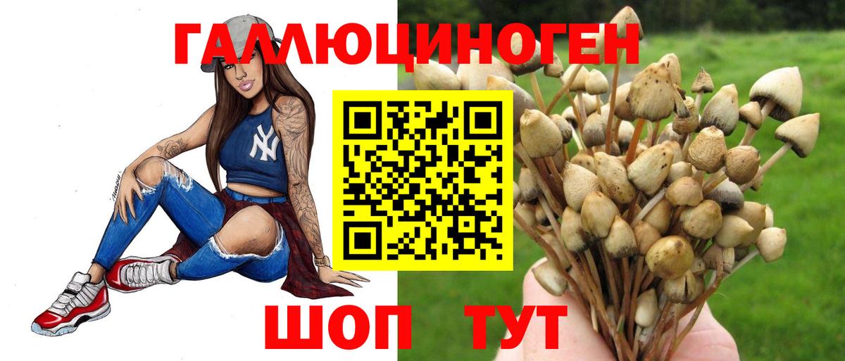 Черкесск  Псилоцибиновые грибы MAGIC MUSHROOMS  Вход с VPN 