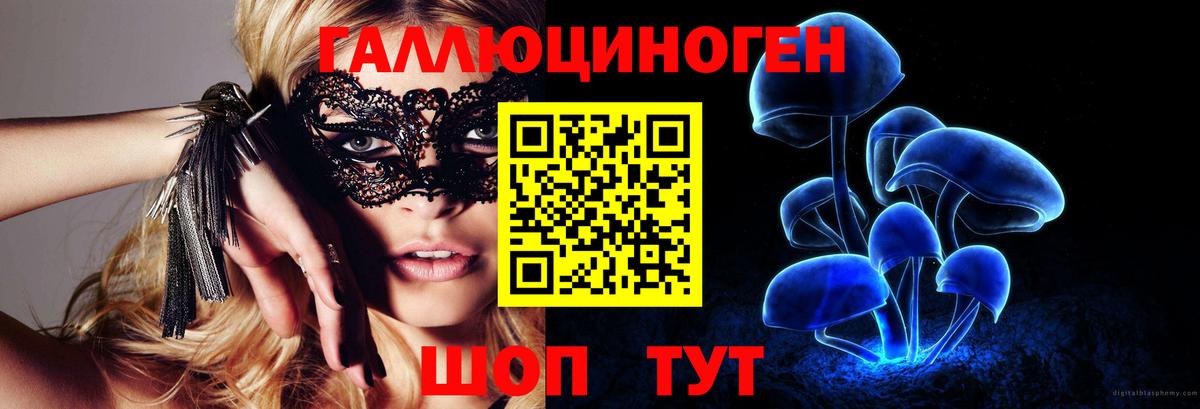Галлюциногенные грибы GOLDEN TEACHER Черкесск